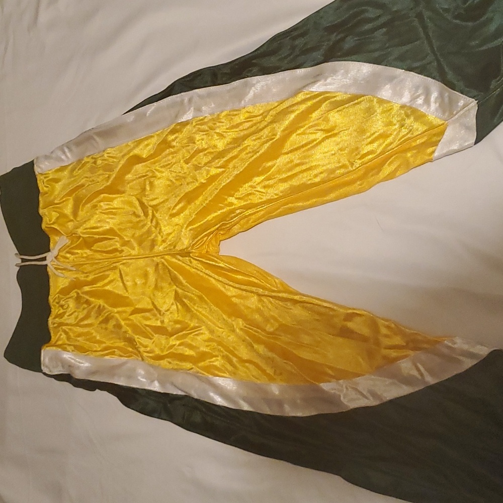 Harv-al size medium vintage cheer pants gold green and white.